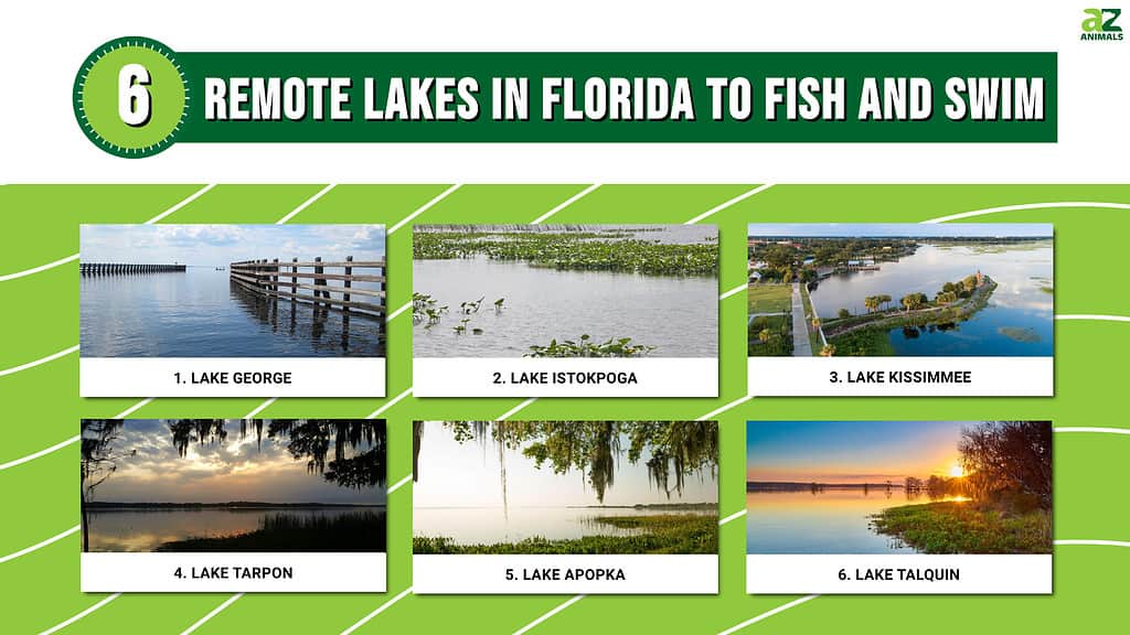 Infographic of 6 Remote Lakes in Florida to Fish and Swim