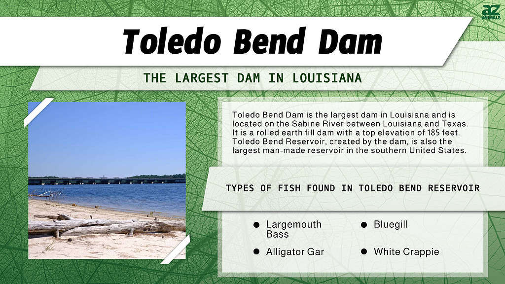 The Toledo Bend Dam is the Largest Dam in Louisiana