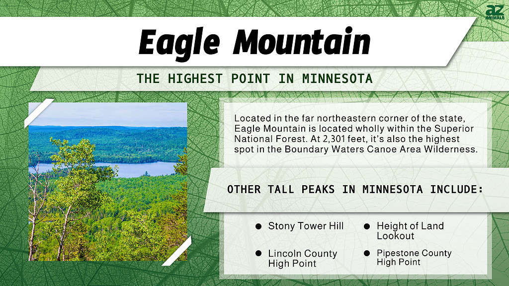 Infographic of Eagle Mountain