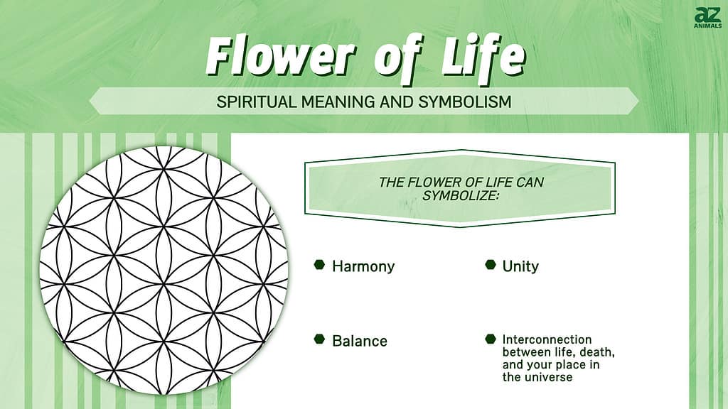 Flower Of Life Spiritual Meaning