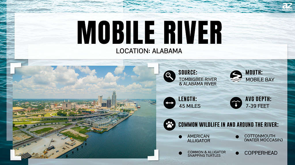 The Mobile River is located in Alabama, United States.