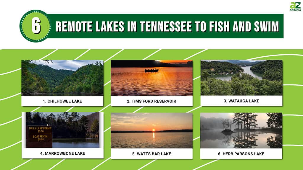 Infographic of 6 Remote Lakes in Tennessee to Fish and Swim
