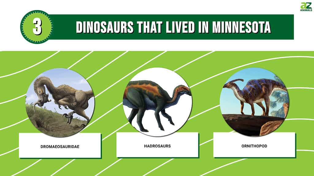 Picture graph of 3 Dinosaurs That Lived in Minnesota.