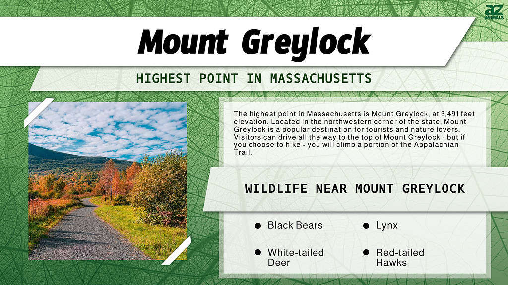 Mount Greylock is the Highest Peak in Massachusetts