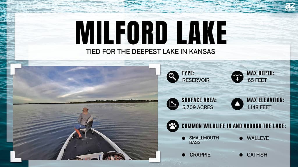 Infographic of Milford Lake