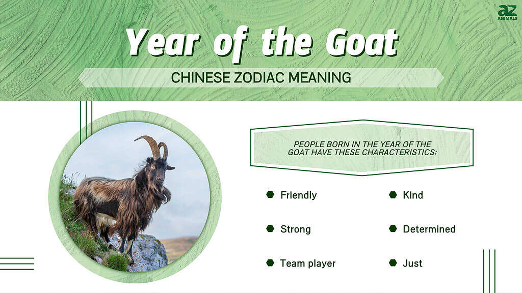 Infographic of the Year of the Goat 