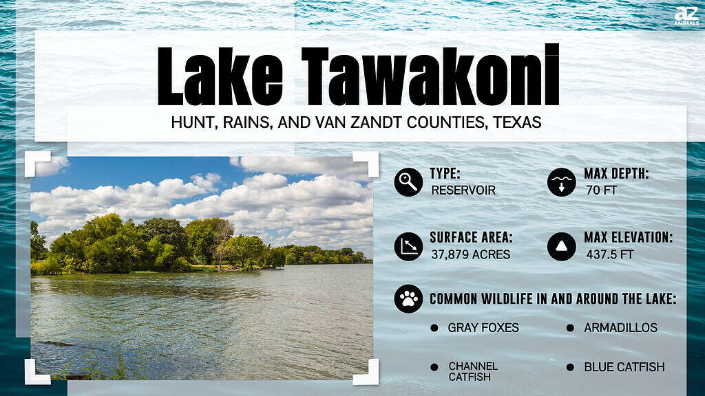 Infographic for Lake Tawakoni, TX