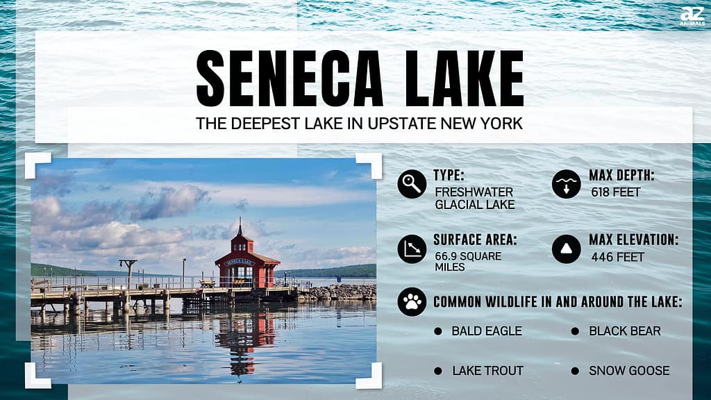 Seneca Lake is the Deepest Lake in Upstate New York