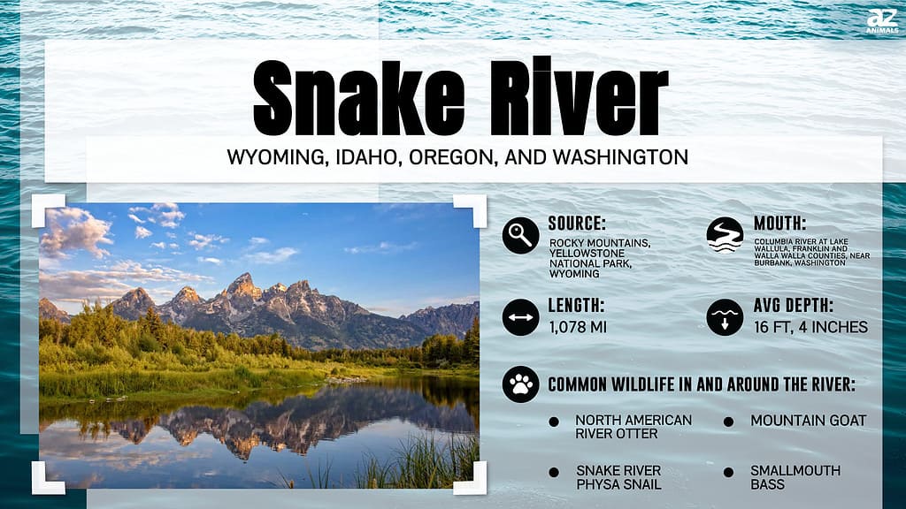 Infographic about the Snake River.