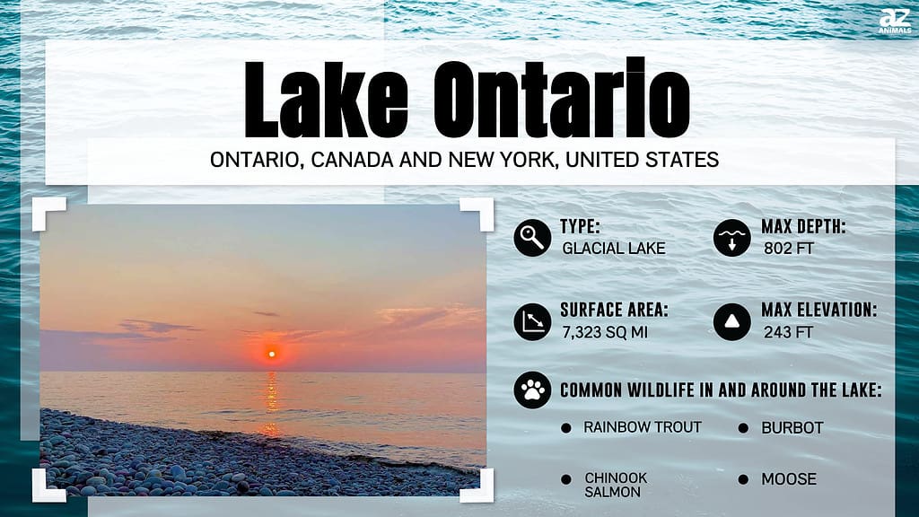 Infographic of Lake Ontario