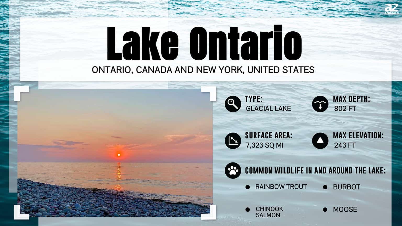 How Deep Is Lake Ontario A Z Animals   737df01b6c0f711cdc26fd71f05f6d28aa2d778f 1536x864 