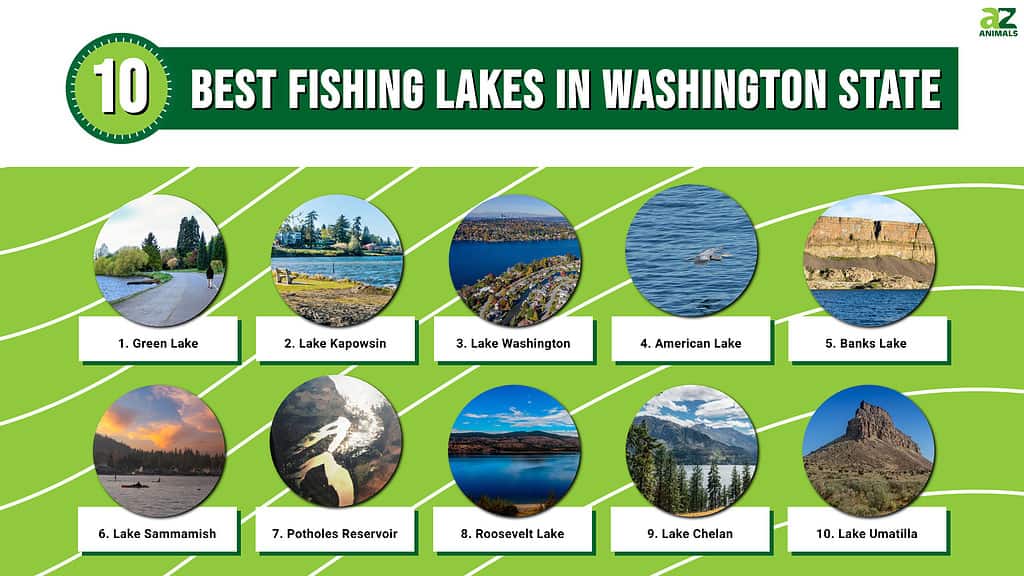 the-10-best-fishing-lakes-in-washington-state-and-the-types-of-fish-to