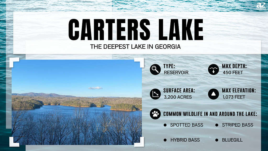Infographic of Carters Lake