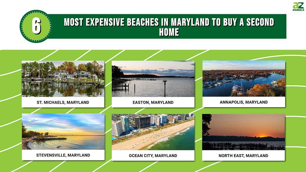 Picture graph of the Most Expensive Beaches in Maryland to Buy a Second Home.