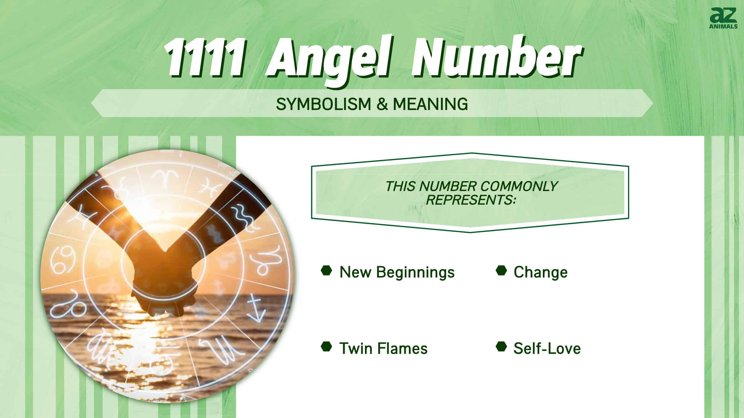 1111 Angel Number infographic