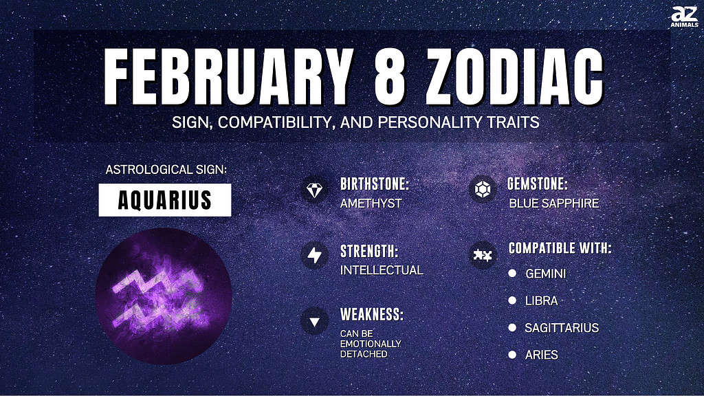 February 8 Zodiac Sign Personality Traits Compatibility And More 