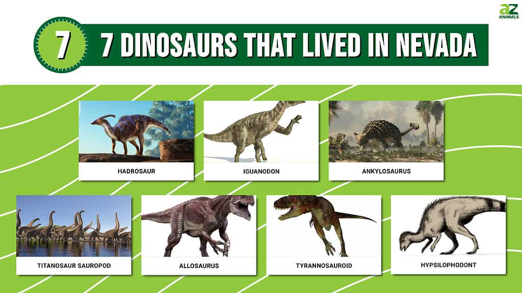 Picture graph for 7 Dinosaurs That Lived in Nevada