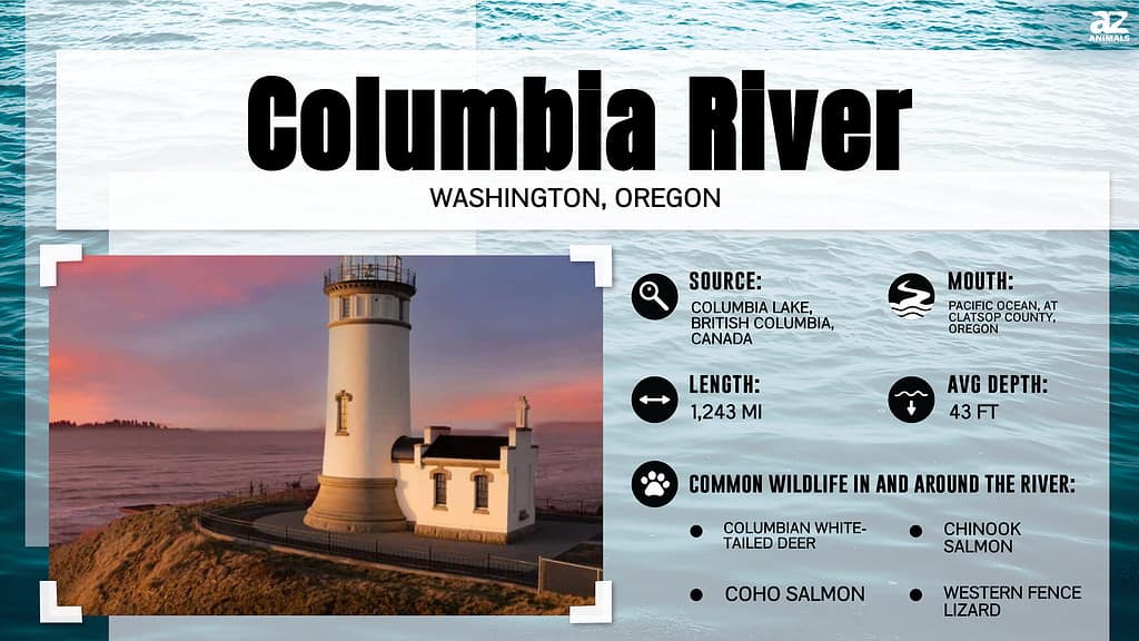 Infographic about the Columbia River.