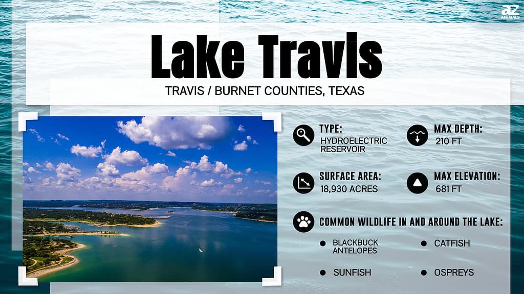 Infographic for Lake Travis.
