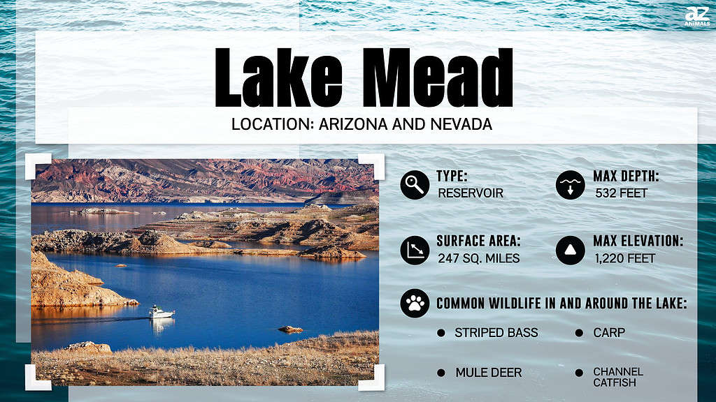 Lake Mead infographic
