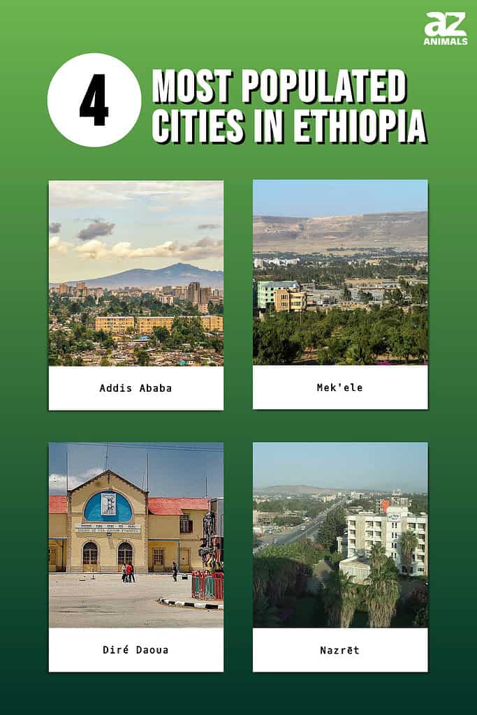 Picture graph of the 4 Most Populated Cities in Ethiopia.
