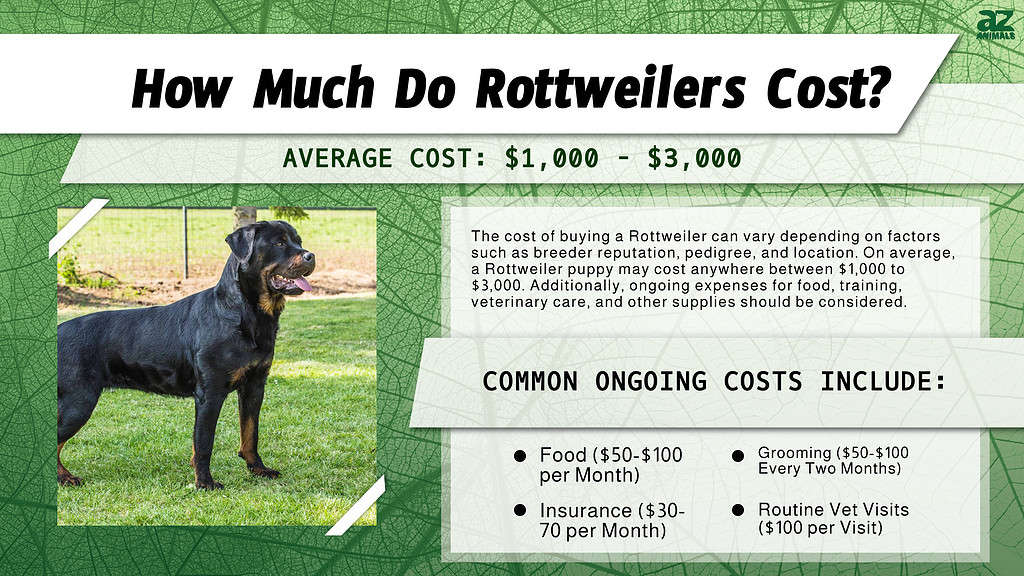 how much does it cost to maintain a rottweiler?