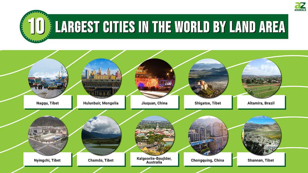Picture graph of the 10 Largest Cities in the World by Land Area