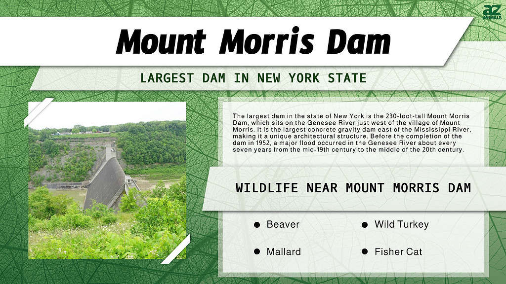 Mount Morris Dam is the Largest Dam in New York State