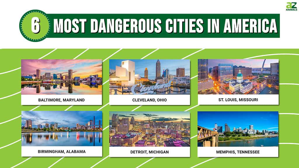 6 Most Dangerous Cities in America