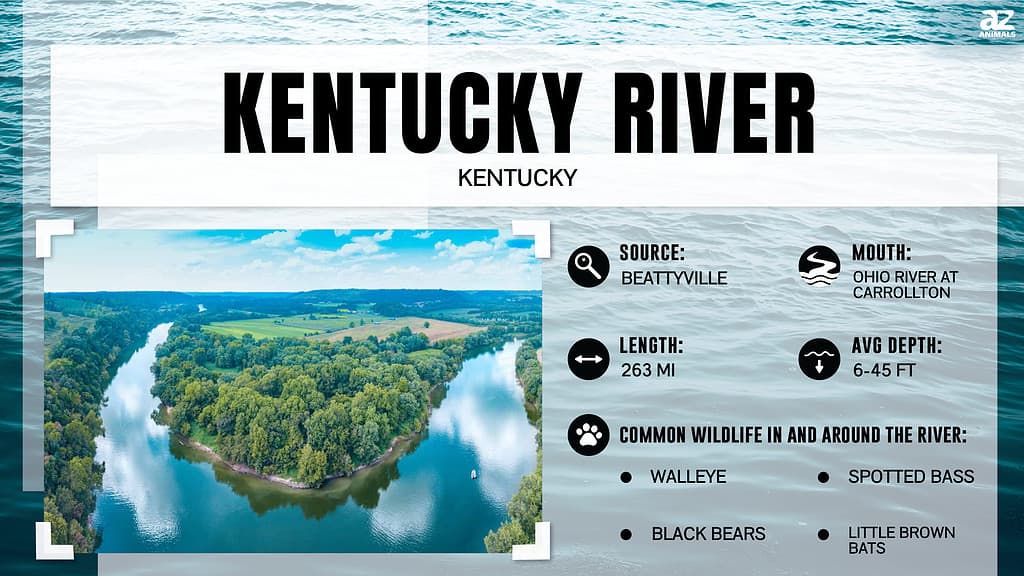 Kentucky river infographic