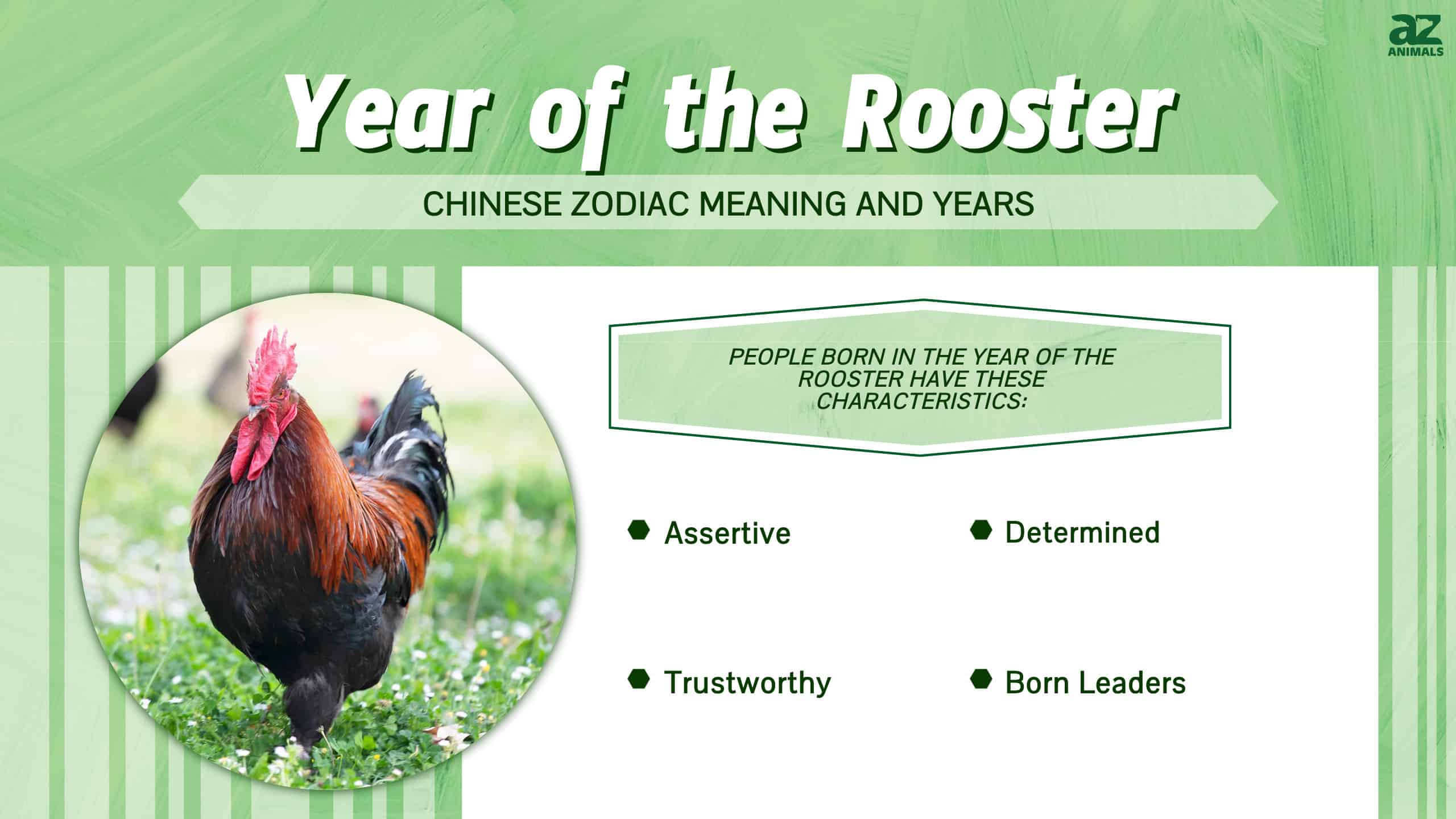 Year of the Rooster Chinese Zodiac Meaning and Years AZ Animals
