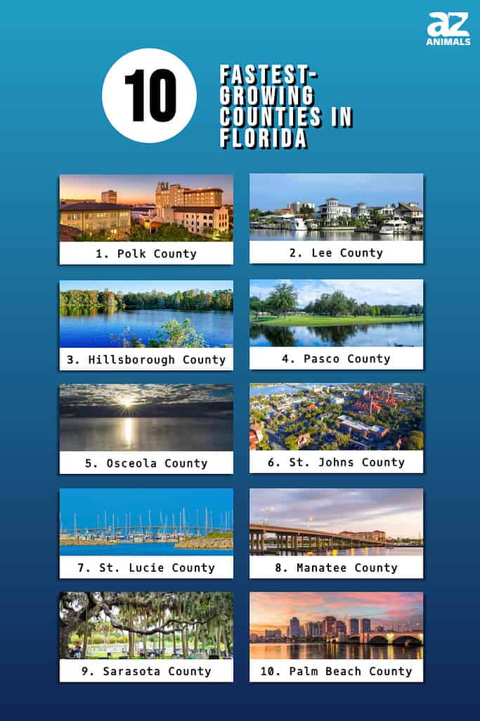Infographic of 10 Fastest-Growing Counties in Florida