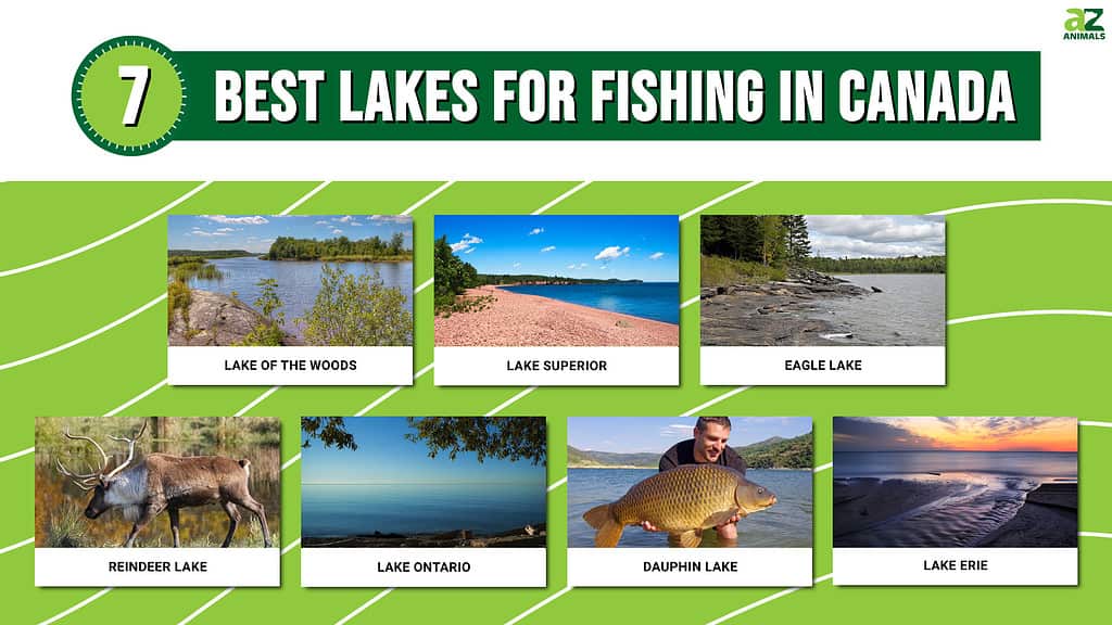 7 Best Lakes for Fishing in Canada
