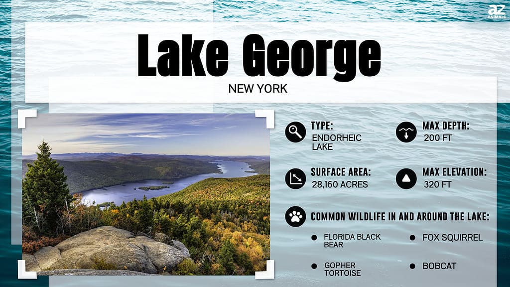 Infographic of Lake George, New York