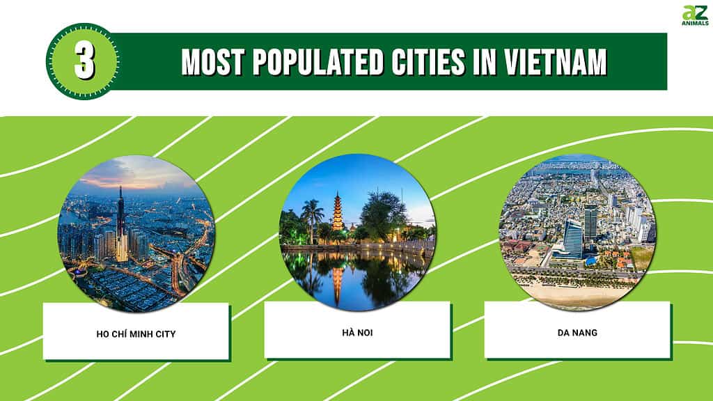 Picture Graph of the 3 Most Populated Cities in Vietnam
