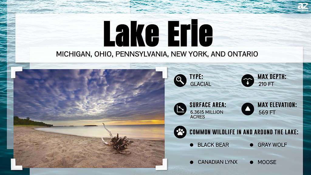 Infographic about Lake Erie.