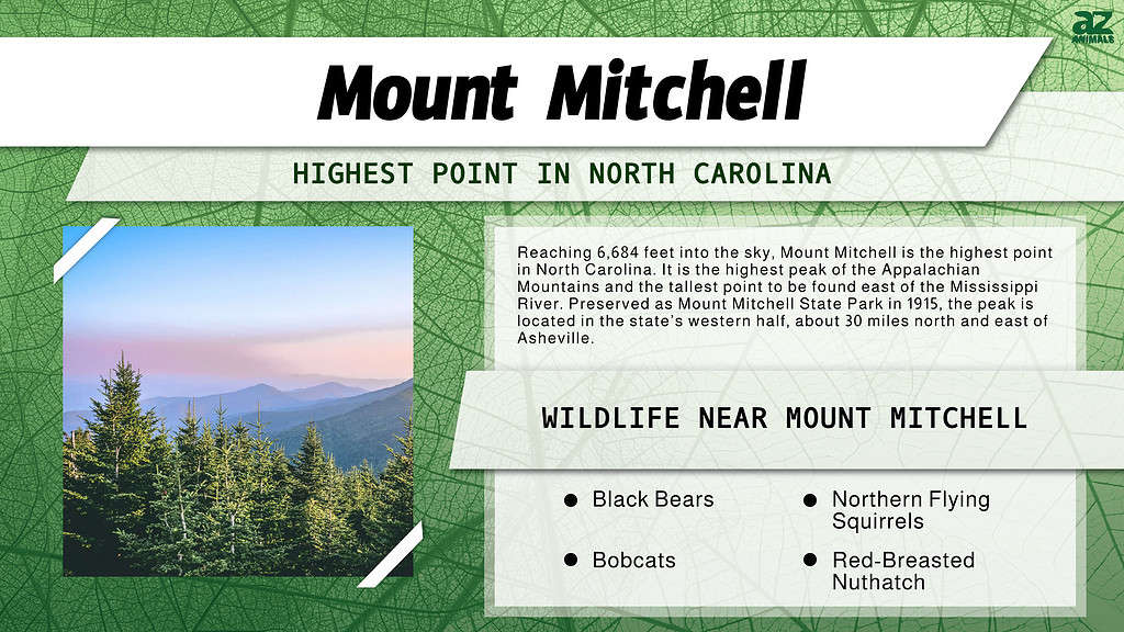 Mount Mitchell is the Highest Point in North Carolina