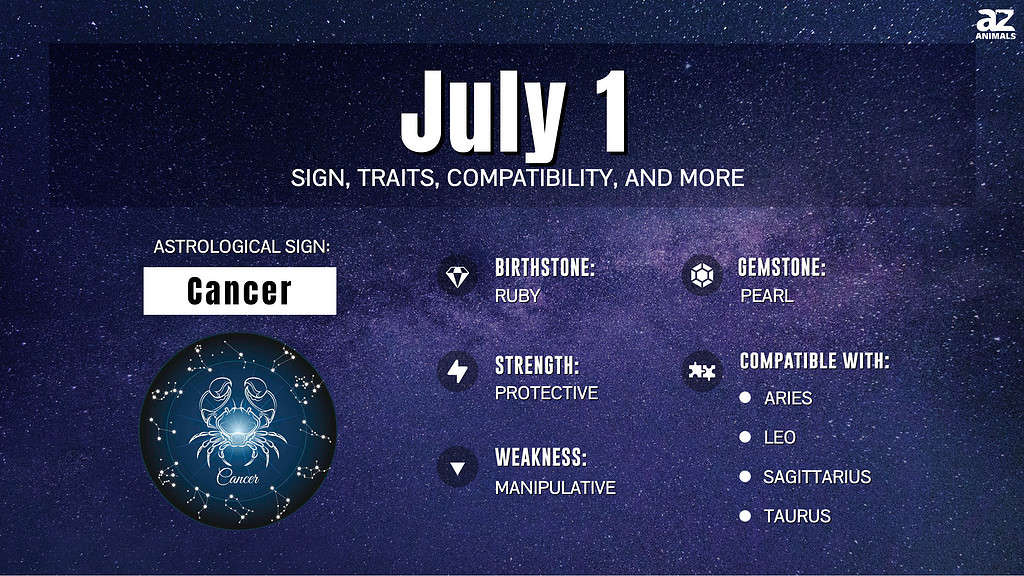 July 1 Zodiac Sign Traits Compatibility And More AZ Animals July 1 Zodiac Sign Traits Compatibility And More AZ Animals