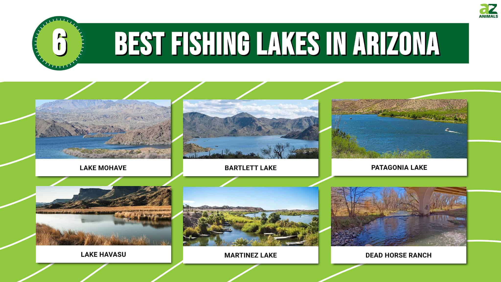 The 6 Best Fishing Lakes In Arizona A Z Animals   981dfd859cdb11afd27579fe7ba5142f32cbeb9c 2048x1152 