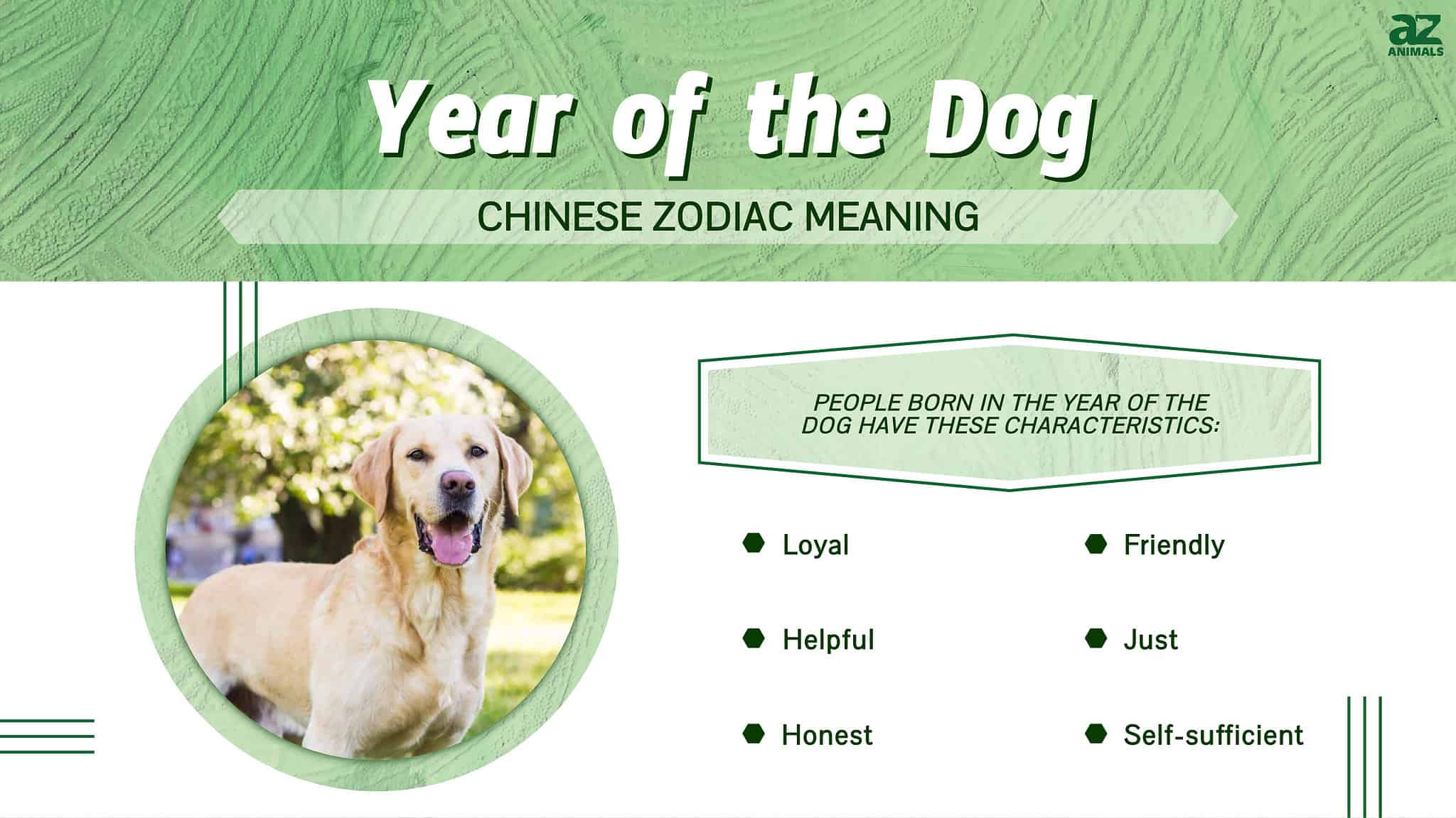 Year of the Dog Chinese Zodiac Meaning and Years AZ Animals