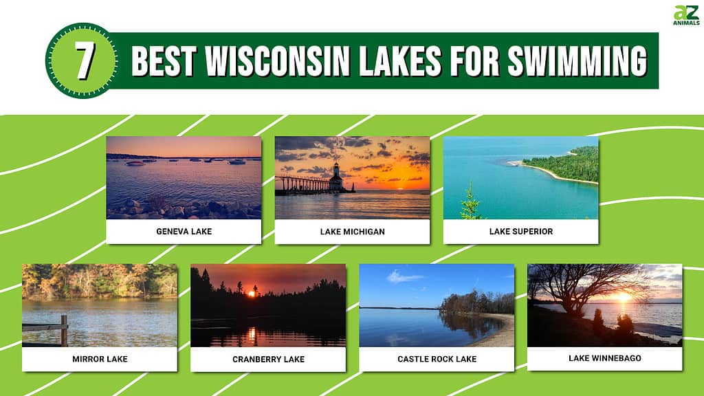 Picture graph of 7 Best Wisconsin Lakes for Swimming.