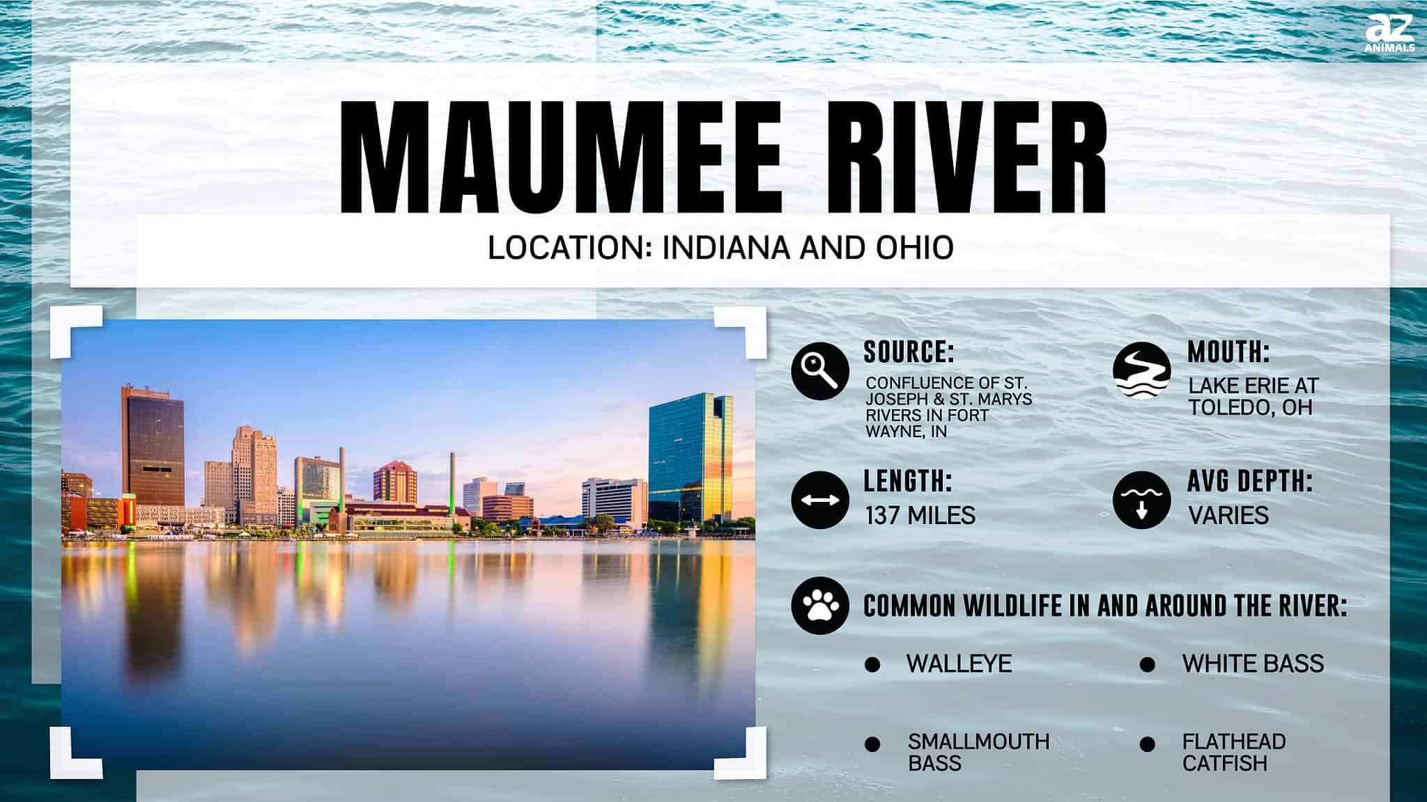 How Deep Is Ohio's Maumee River? AZ Animals