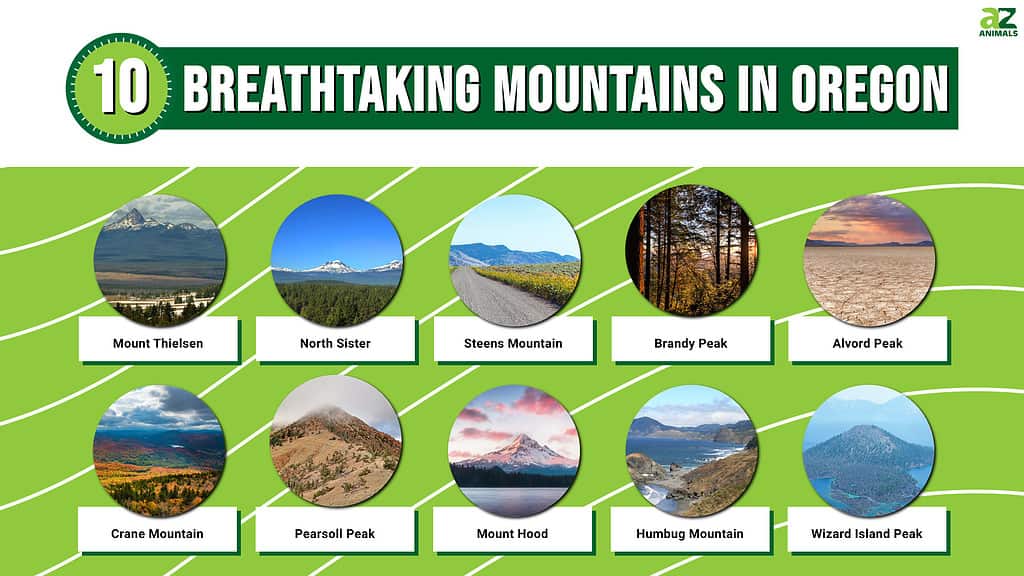 Picture graph of the 10 Most Breathtaking Mountains in Oregon.