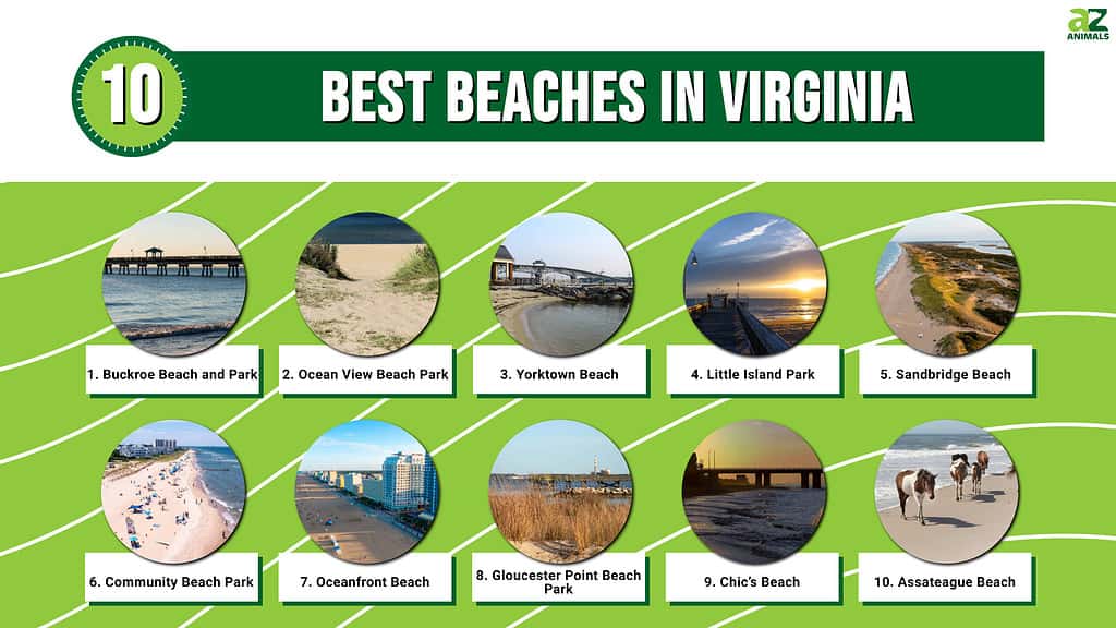10 best beaches in Virginia