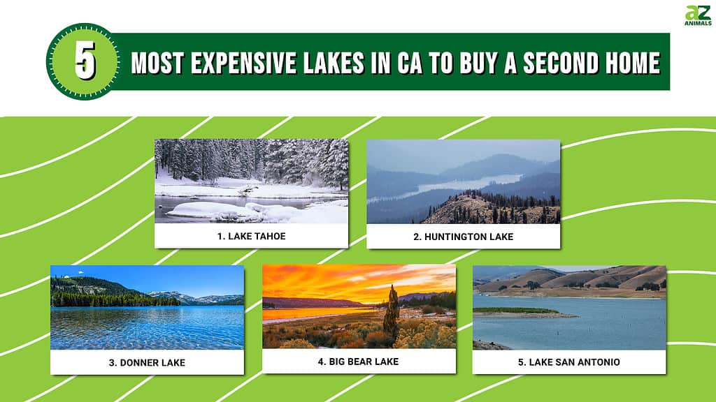 Infographic of 5 Most Expensive Lakes in California to Buy a Second Home