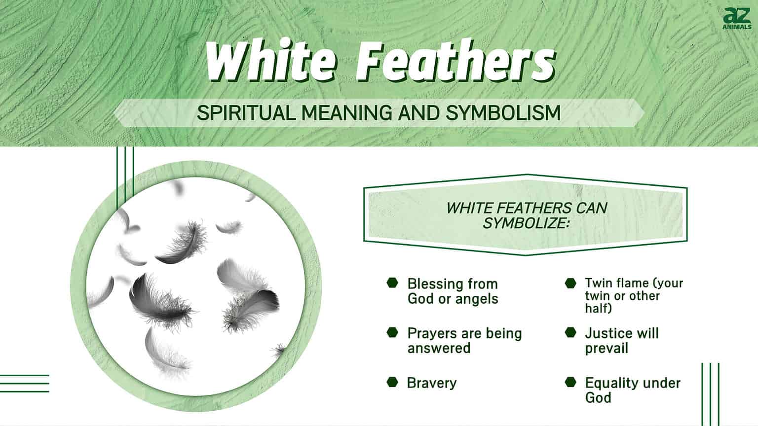 The Spiritual Meaning and Symbolism of White Feathers - A-Z Animals