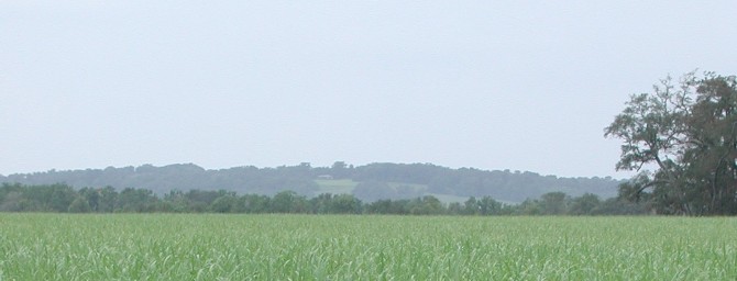 Avery Island, Louisiana, as seen from a distance.