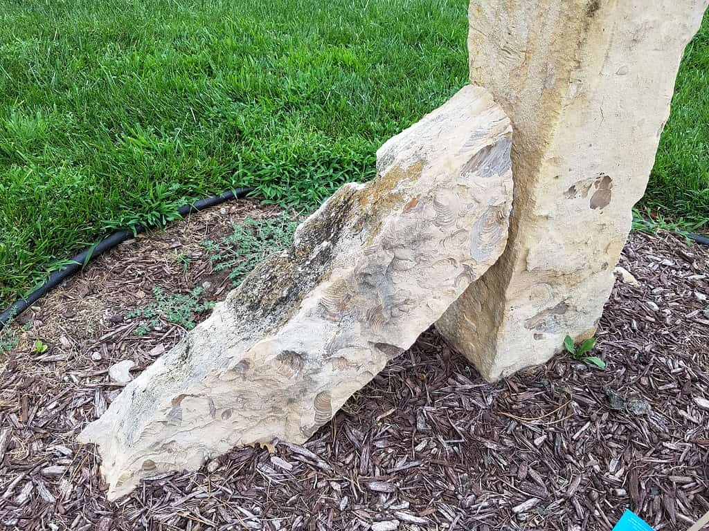 Fencepost Limestone