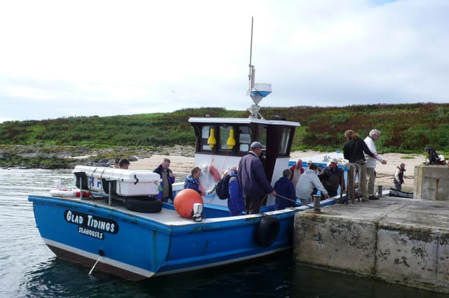 Farne Islands boat tour
