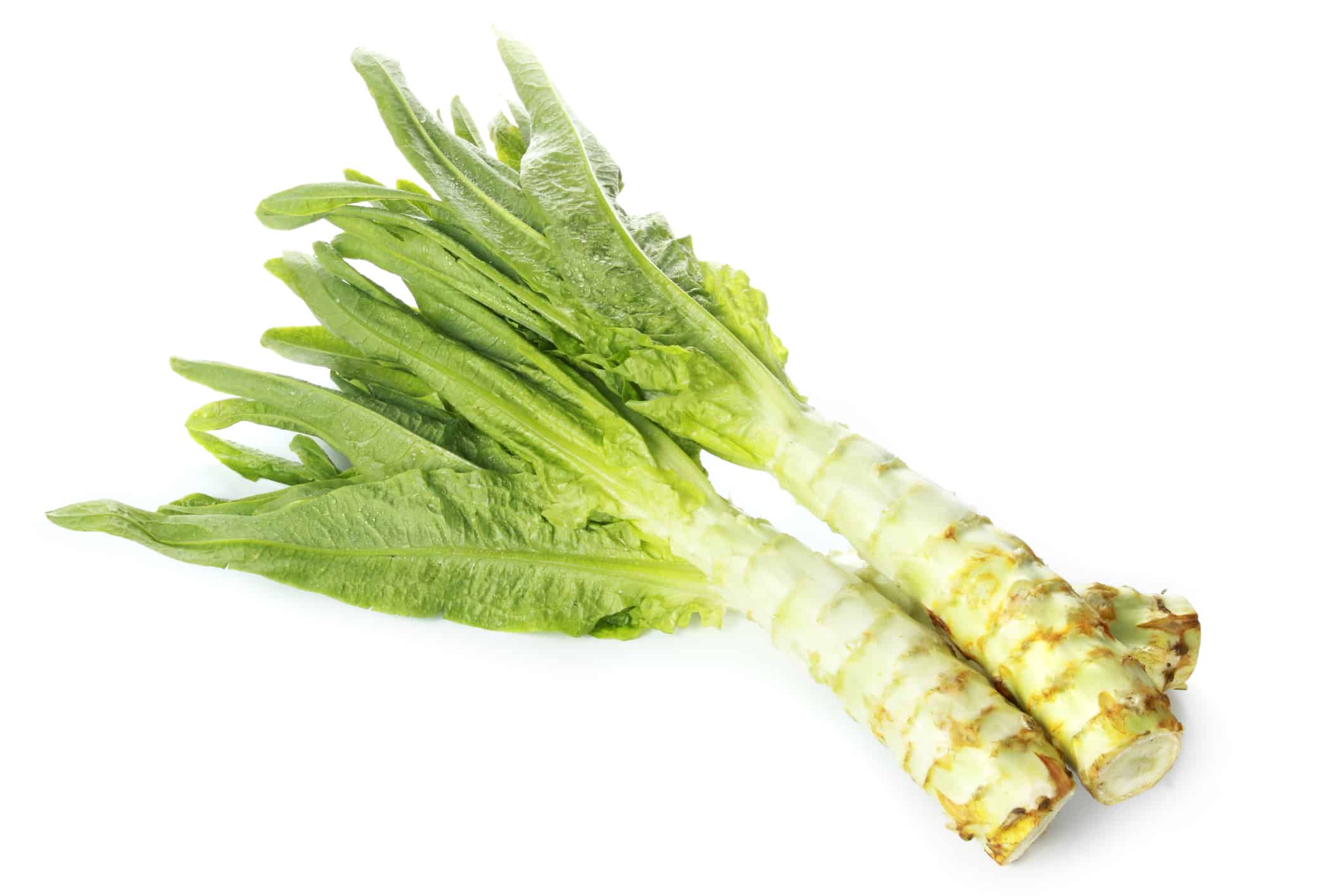 Asparagus lettuce, celery, celtuce vegetables, stems, green leaves isolated on white background